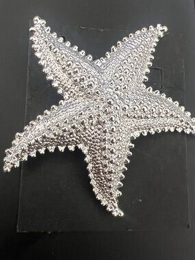 Silver Starfish Pin